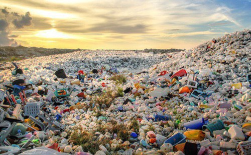 Tác hại của rác thải nhựa - Cách phòng chống